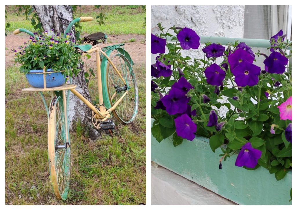 collage2photos1784891419353